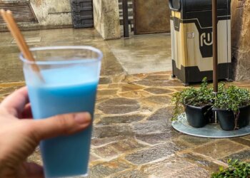 Solo Disney World Trip Tips: How to Plan a Fun Day on Your Own