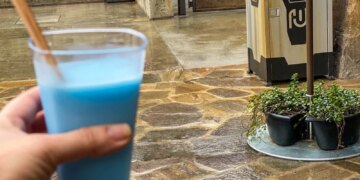 Solo Disney World Trip Tips: How to Plan a Fun Day on Your Own