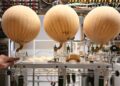 Researchers say a new Trump rule could destroy American science as we know it