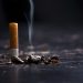 Study Suggests Herbal Cigarettes May Be As Harmful As Tobacco – Asian Scientist Magazine