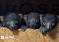 Weekly round-up: Stories you may have missed