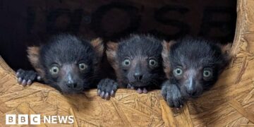 Weekly round-up: Stories you may have missed