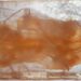 A technology changing how we see biological tissue