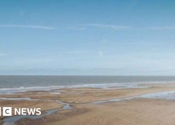 Public events for Scotland to Lincolnshire electricity cable
