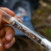 ‘Lost’ ant species reintroduced in Shropshire conservation project
