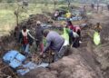 Ethiopian communities are using low-cost methods to restore eroded land