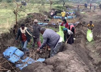 Ethiopian communities are using low-cost methods to restore eroded land