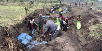 Ethiopian communities are using low-cost methods to restore eroded land