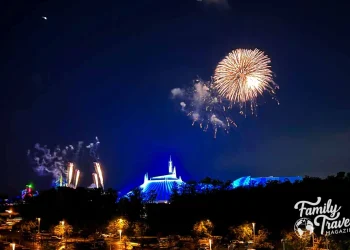 Which Disney World Park Is Best? Ranking All 4 Parks for Families