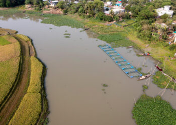 From record growth to impact: FAO welcomes ambitious new funding cycle of Global Environment Facility