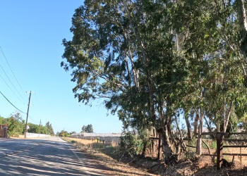 Unexpected Rain Then Back To Sunny – BionicOldGuy