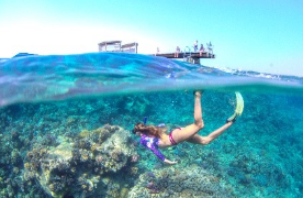 Escape to Egypt’s Red Sea this summer for the ultimate family holiday | News