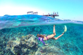 Escape to Egypt’s Red Sea this summer for the ultimate family holiday | News