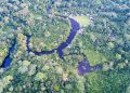 Norway and FAO scale up forest monitoring for climate action