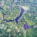Norway and FAO scale up forest monitoring for climate action