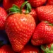 DNA time stamps reveal the strawberry’s surprising origins