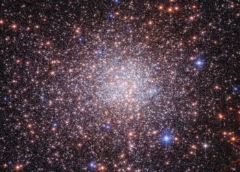 The Webb Telescope Has Captured Its First ‘Bulge Fossil Fragment’