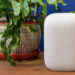 Google Has Discontinued The Nest Home Mini And Nest Audio
