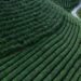 On the hunt for China's most famous green tea