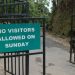 Why ‘Asia’s cleanest village’ bans tourists on Sundays