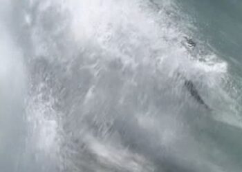 Massive waves hit Southern California
