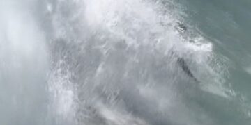 Massive waves hit Southern California
