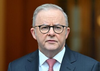 Australia pledges action on H5N1 after bird flu case confirmed | Environment News