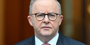Australia pledges action on H5N1 after bird flu case confirmed | Environment News