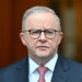 Australia pledges action on H5N1 after bird flu case confirmed | Environment News