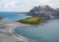 Thousands of baby seals died on two remote sub-Antarctic islands. Scientists now think they know why