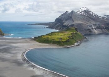 Thousands of baby seals died on two remote sub-Antarctic islands. Scientists now think they know why