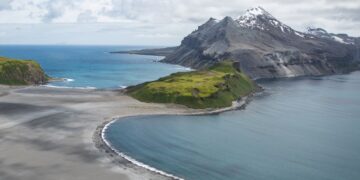 Thousands of baby seals died on two remote sub-Antarctic islands. Scientists now think they know why