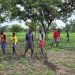 Farm incomes set to rise over next decade – but volatility puts gains at risk