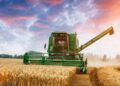 FAO expects world cereal output and trade projected to decline in year ahead — MercoPress