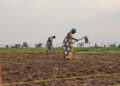 New FAO-WFP report warns worsening hunger puts 13 hotspots at significant risk