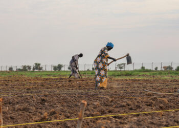 New FAO-WFP report warns worsening hunger puts 13 hotspots at significant risk