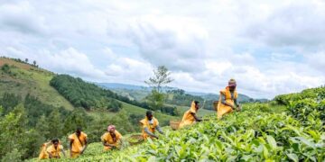 FAO releases most comprehensive dataset to date on women in agrifood systems