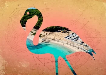 What Albania’s Flamingo Revolution Tells Us About Sovereign Capital’s Coastline Problem