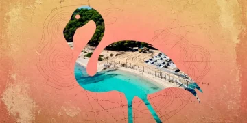 What Albania’s Flamingo Revolution Tells Us About Sovereign Capital’s Coastline Problem