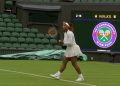 Serena Williams handed Wimbledon singles wild card