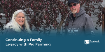 Continuing a Family Legacy with Pig Farming – Food Tank
