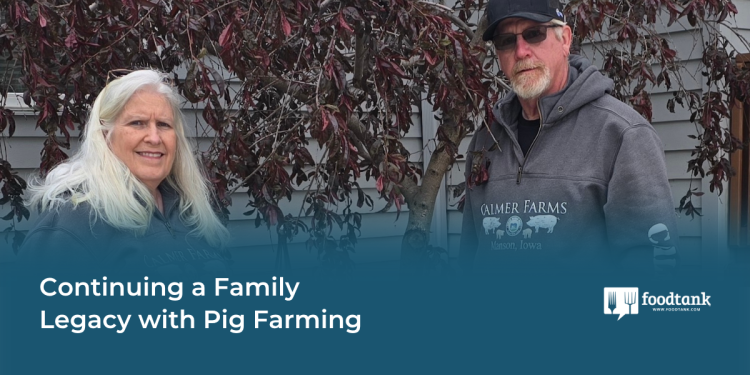 Continuing a Family Legacy with Pig Farming – Food Tank