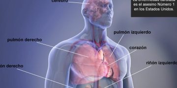Nueva directriz que replantea el peso como riesgo para la salud vinculado a la diabetes, a nefropatías y a afecciones cardíacas