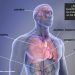 Nueva directriz que replantea el peso como riesgo para la salud vinculado a la diabetes, a nefropatías y a afecciones cardíacas