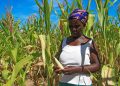 More than 20 million Southern Africans expected to face food crisis amid El Niño, conflict