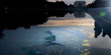 Fact check: Trump’s false and unproven claims about the Reflecting Pool