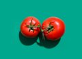 Tomato Prices Ease in May but Remain 32% Higher Than a Year Ago