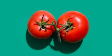 Tomato Prices Ease in May but Remain 32% Higher Than a Year Ago
