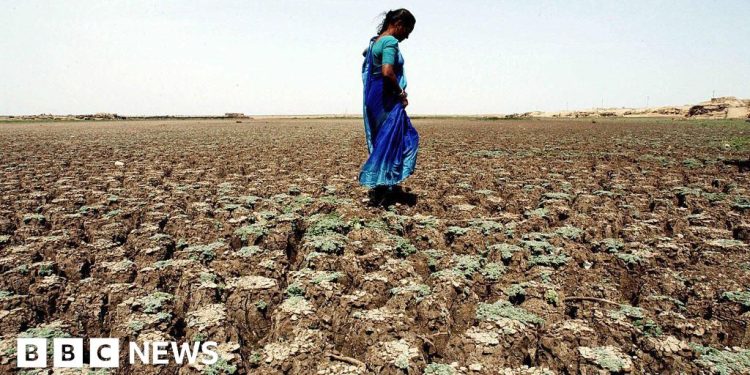 Farming worries after India records driest June in over a decade