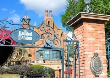 A Complete Guide to the Magic Kingdom Rides